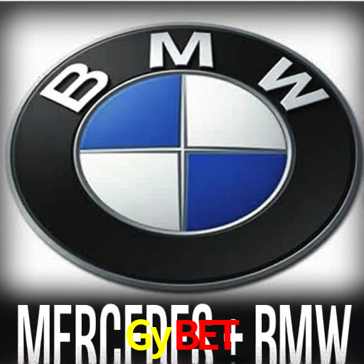 Premium Interface Gybet